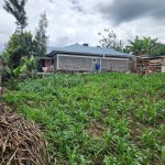 WhatsApp Image 2026-03-24 at 14.00.43 (1)